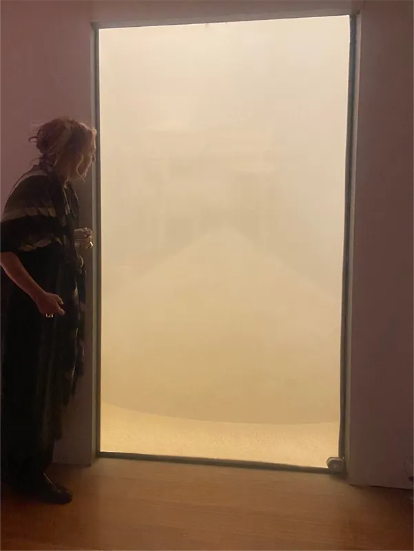 Precipitación de arenas 2020 — Vista de conjunto