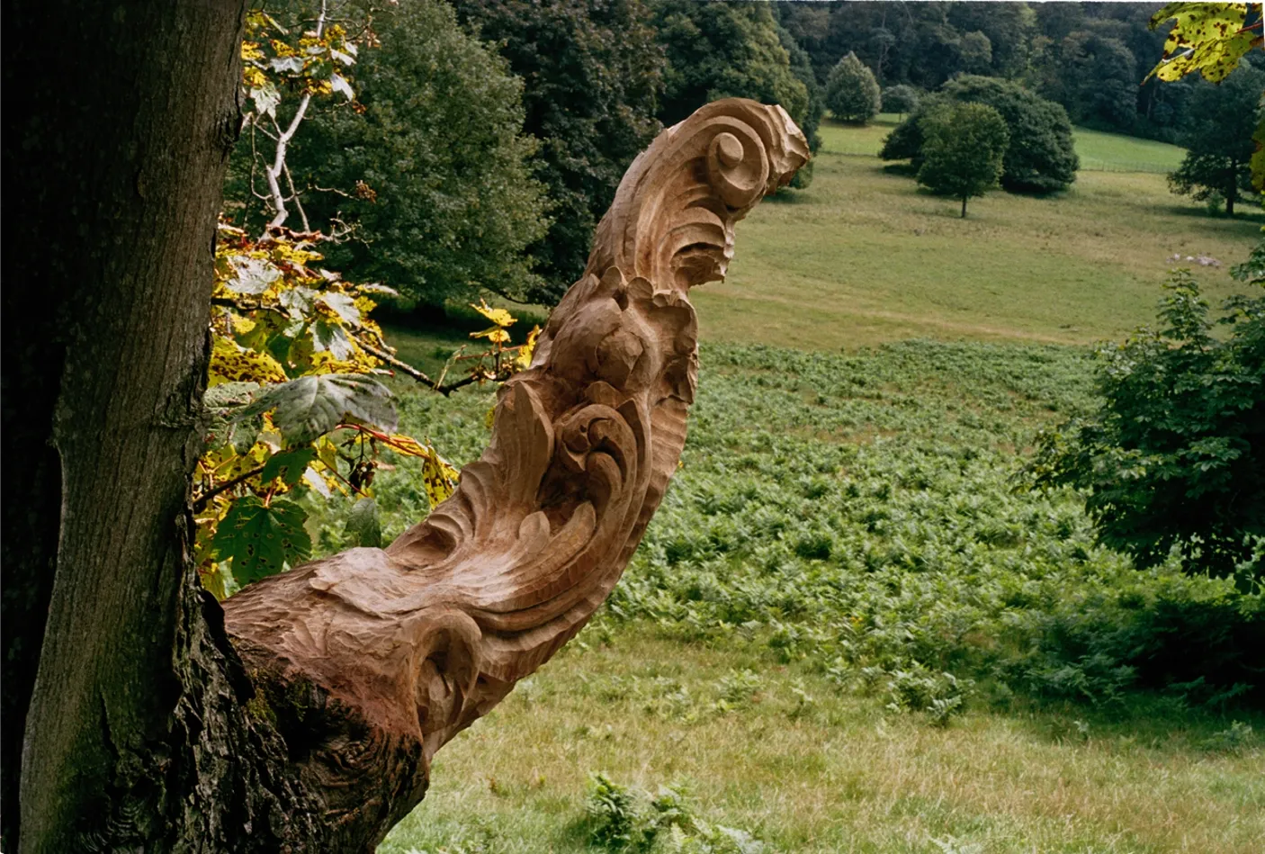 Nuevas Floras Bristol — Intervention on tree in Bristol