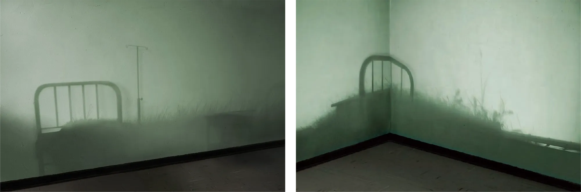 En estado de coma — Cultivos, crecimiento orgánico en abandono