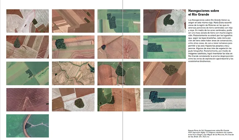 Nuevas Floras do Sul — View of the complete series