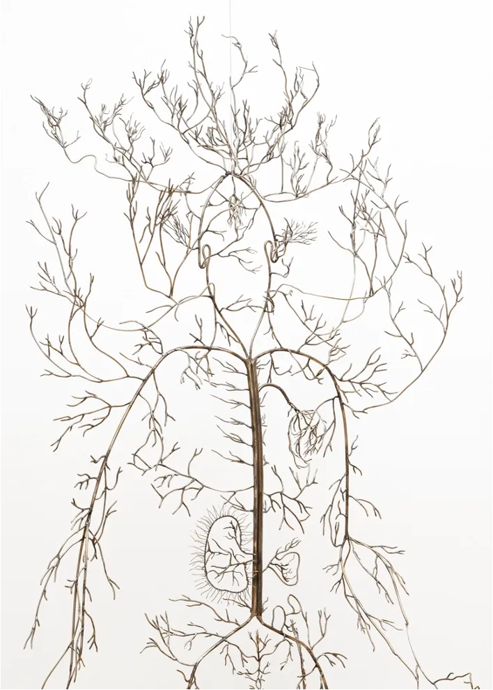 Arborea — Detail of intervention on tree