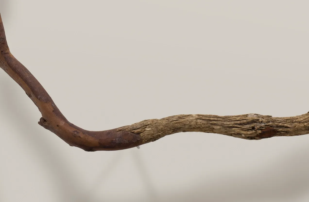 Encuentros — Wood carving on natural branch