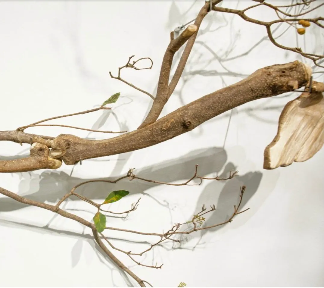 Encuentros con seres notables — Detail of wood carving