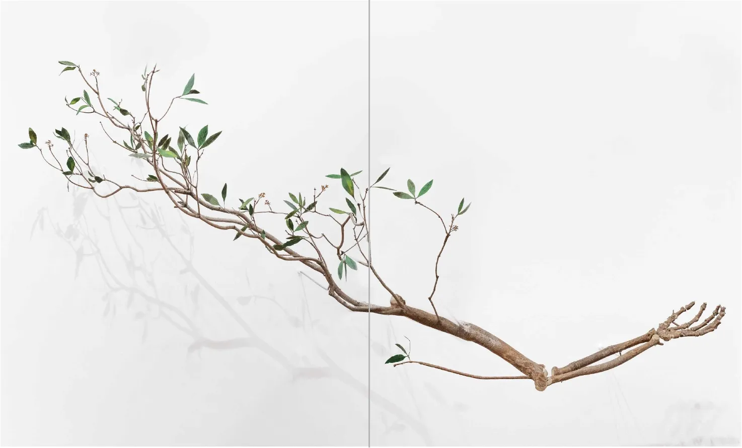 Encuentros con seres notables — Branch with sculptural figure