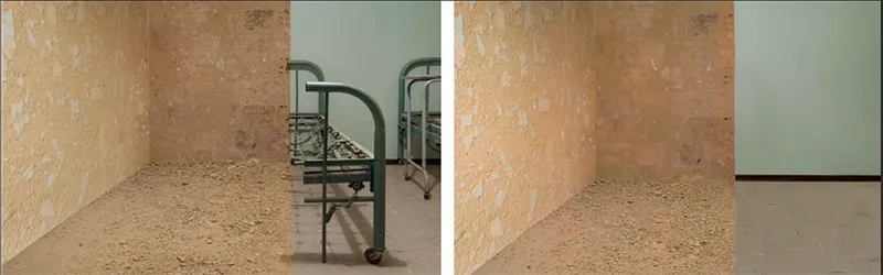 Extractions at the University Hospital — Cladding removal process
