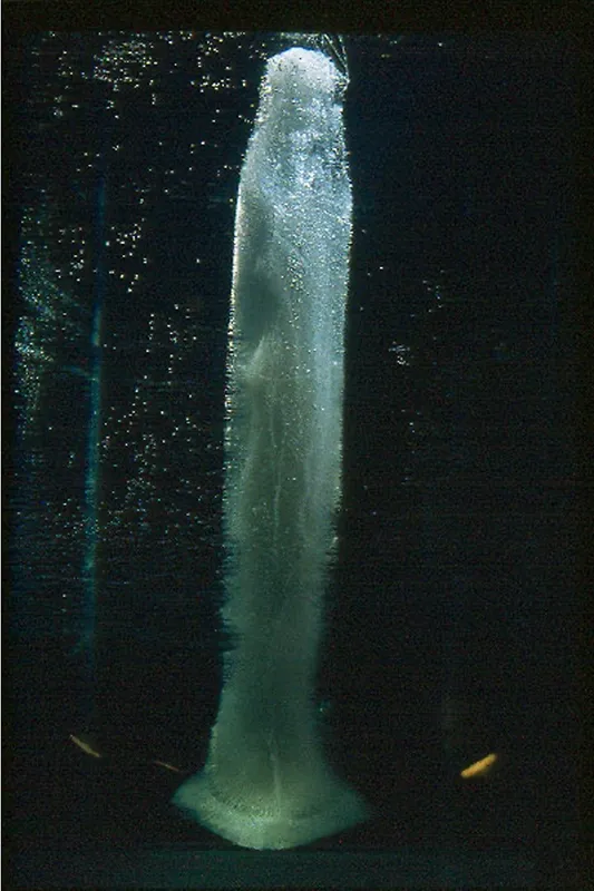In Memoriam — Estado intermedio de la disolución de la columna de hielo