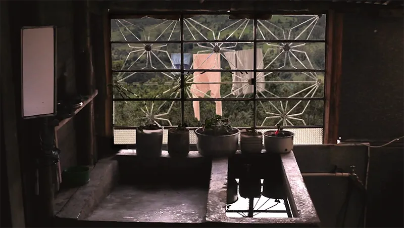 La travesia — Installation at MAMU