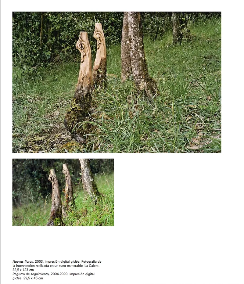 Nuevas Floras Colombia — Altarpiece element on branch