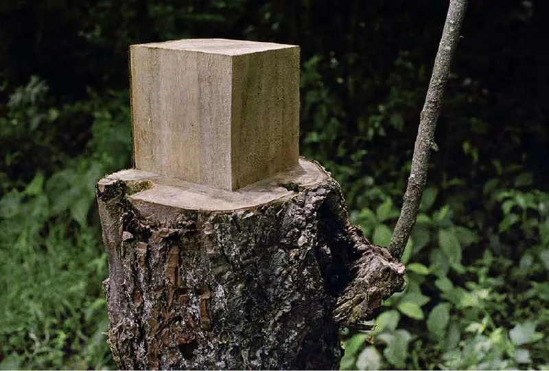 Nuevas Floras Colombia — Convergence of nature and culture