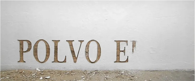 Polvo eres — Texture of exposed brick wall