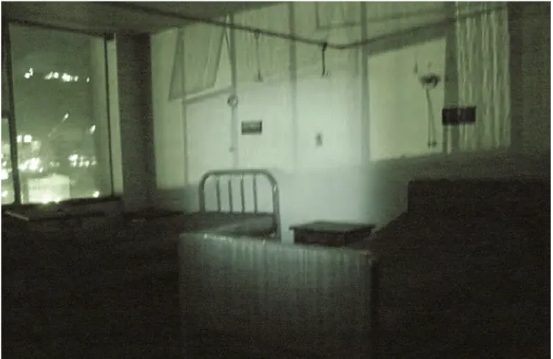 En estado de coma — Nocturnal Walks, ward in half-light