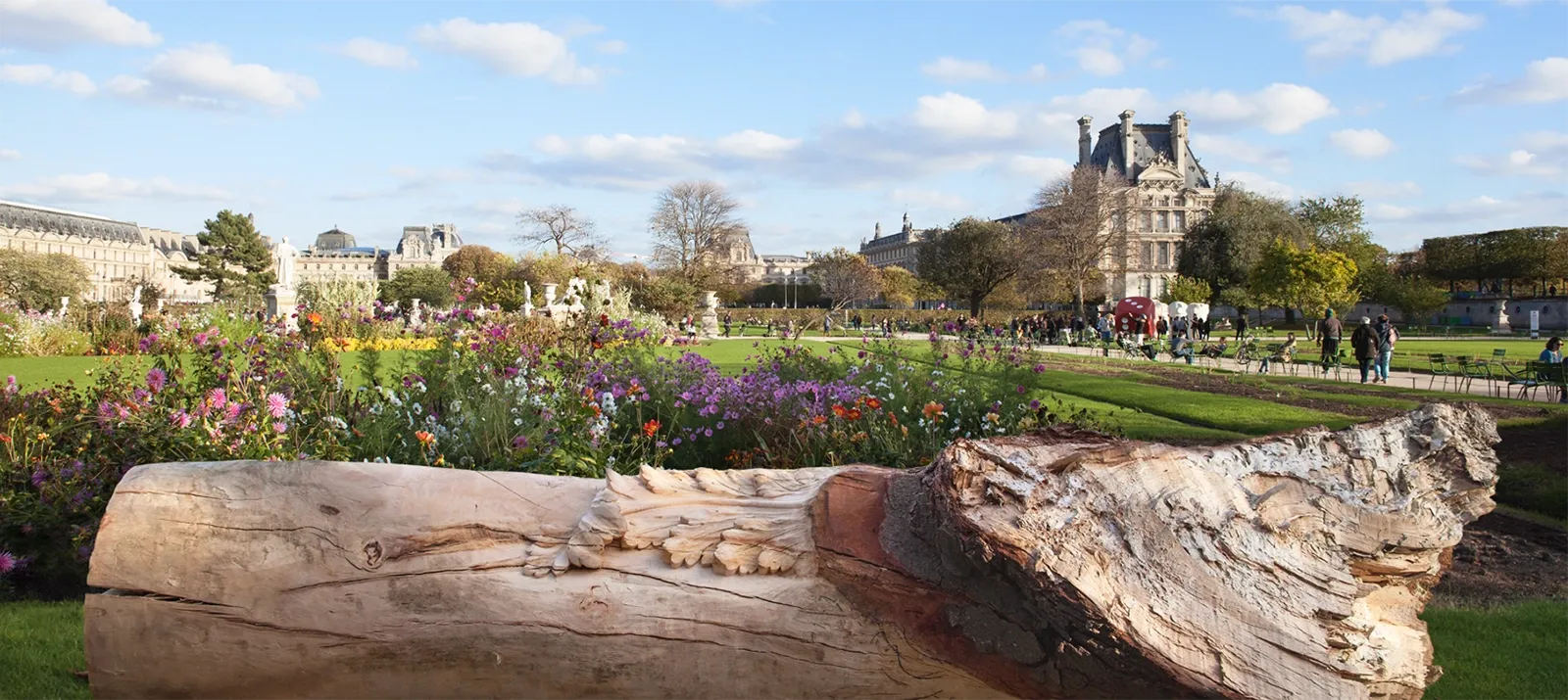 Nuevas Floras Versalles — Intervened tree in Versailles