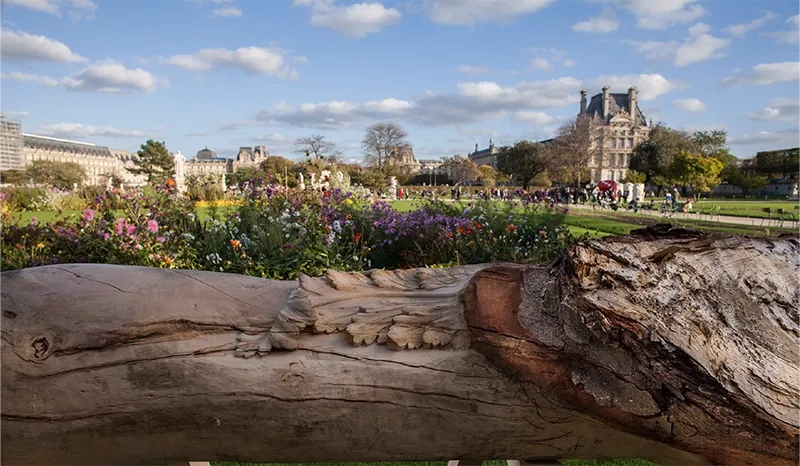 Nuevas Floras Versalles — Ornamental carving on trunk