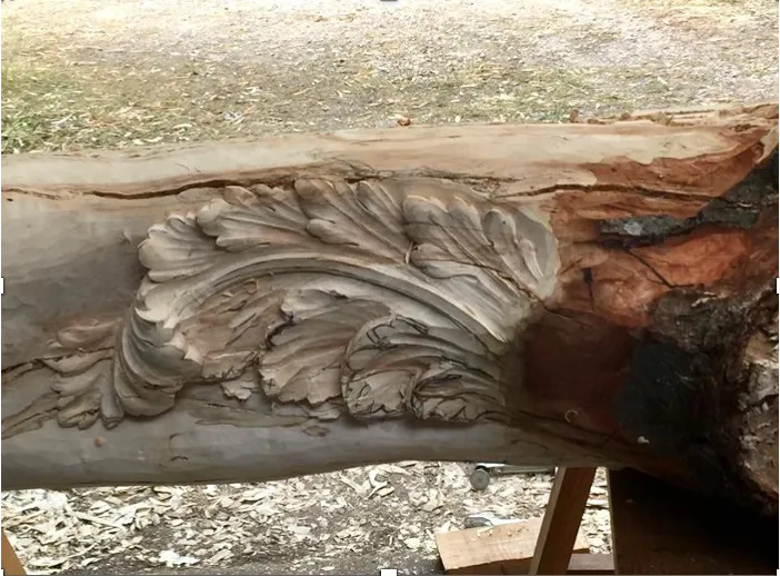 Nuevas Floras Versalles — Baroque form in living tree